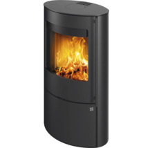 Kaminofen mit Feuerraum