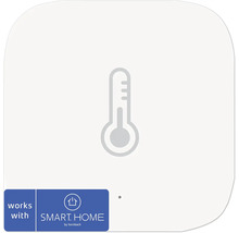 Symbole de thermomètre pour système Smart Home
