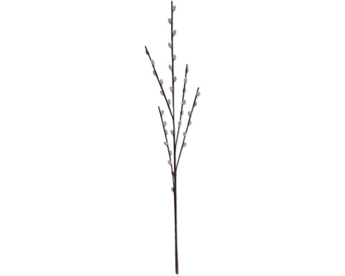 Plante artificielle saule marsault h 80 cm Branche avec chatons