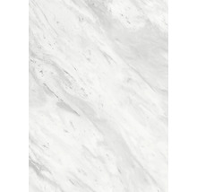 Panneau de marbre avec veinures naturelles pour la décoration intérieure
