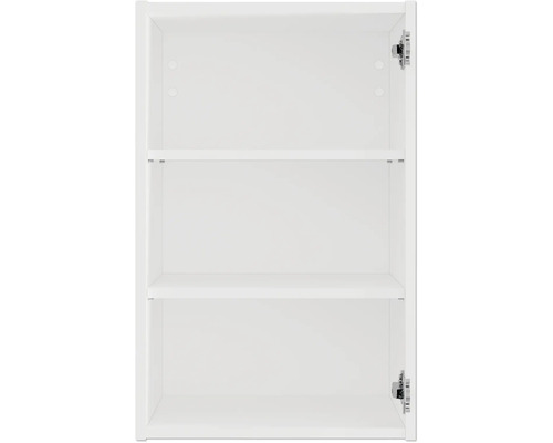 Intérieur d'une armoire de salle de bains avec étagères