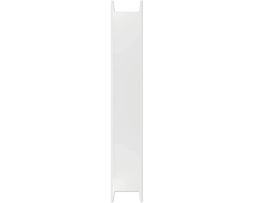 Carreau rectangulaire brillant