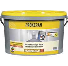 Pot de peinture de dispersion spéciale Prokeran