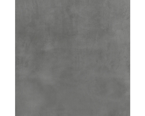 Feinsteinzeug Wand- und Bodenfliese Urbex grey matt BxLxS 60 x 60 x 0.95 cm Graue Wandfliese mit Betonoptik für den Innenbereich