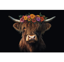 Porträt eines Hochlandrindes mit Blumenschmuck