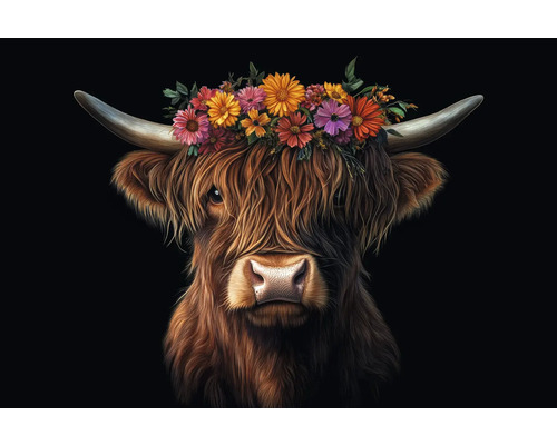 Porträt eines Hochlandrindes mit Blumenschmuck