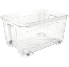 Transparente Aufbewahrungsbox aus Kunststoff mit Rollen.