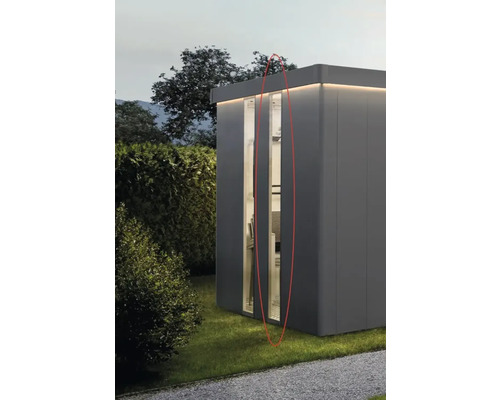 Panneau lumineux teinté biohort pour abri de jardin Neo 28 x 207 cm argent métallique Maison de jardin moderne avec grande fenêtre et éclairage extérieur
