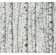 Papier peint avec motif de forêt de bouleaux