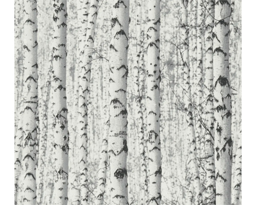 Papier peint avec motif de forêt de bouleaux