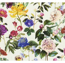 Papier peint fleuri avec des roses, des hortensias et d'autres fleurs