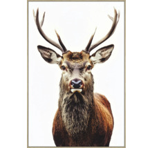 Gerahmtes Bild eines Hirsches im Porträtformat
