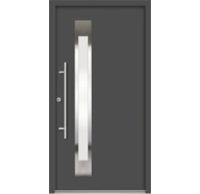 Porte d''entrée moderne avec poignée en acier inoxydable et insert en verre