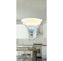 Lampe LED GU10 avec température de couleur de 4000 kelvins