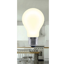 Lampe 4000 Kelvin
