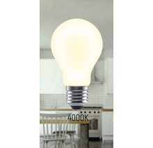 Ampoule avec température de couleur de 4000 Kelvin