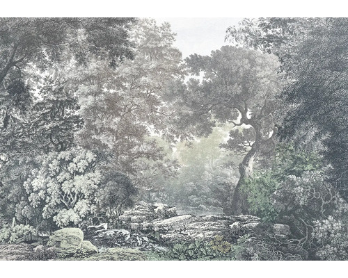 Papier peint panoramique intissé R4-060 Fairytale Forest 4 pces 400 x 280 cm Papier peint avec motif de forêt