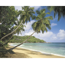 Tropischer Strand mit Palmen und klarem Wasser