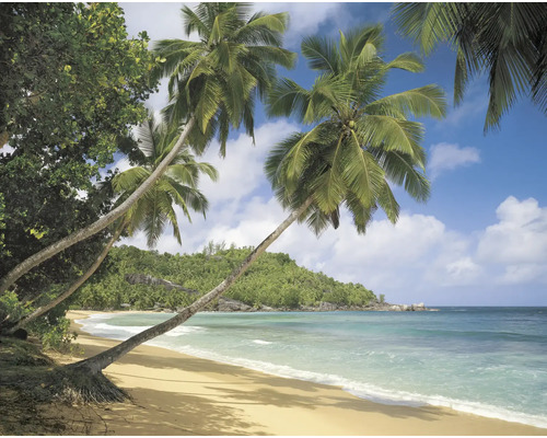 Tropischer Strand mit Palmen und klarem Wasser