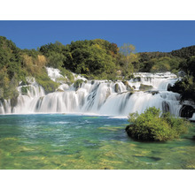 Cascade avec une végétation luxuriante