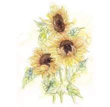 Illustration de trois tournesols avec des feuilles