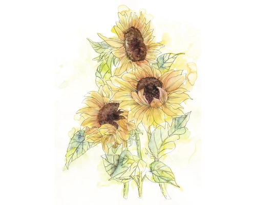 Illustration de trois tournesols avec des feuilles