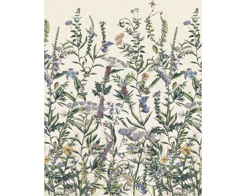 Papier peint panoramique intissé X4-1011 Flowering Herbs 4 pces 200 x 250 cm Image d'un motif de fleurs sauvages