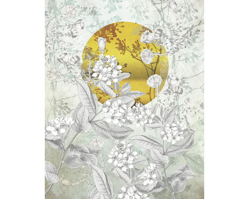 Illustration de feuilles et de fleurs devant un cercle