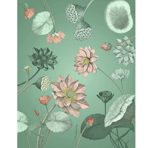 Illustration de fleurs et de feuilles de lotus sur fond uni