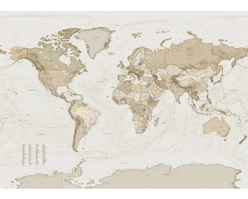 Carte du monde avec détails géographiques