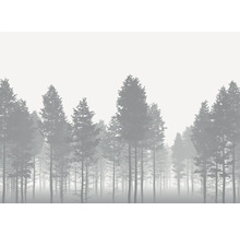 Illustration d'une forêt dense dans le brouillard
