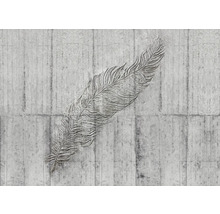 Mur en béton avec relief de plume