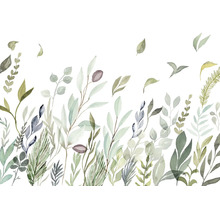 Illustration de diverses plantes vertes sur fond blanc