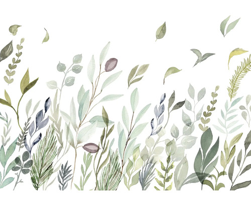 Illustration de diverses plantes vertes sur fond blanc