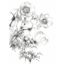 Croquis d'un arrangement floral