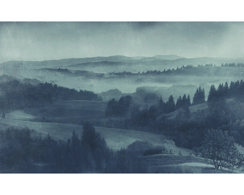 Image de paysage avec montagnes, forêts et brouillard