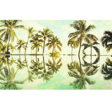 Palmes avec reflet dans l'eau