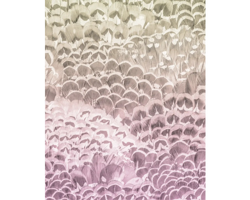 Fond de plumes pour les projets de bricolage et les décorations