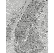 Carte historique de New York