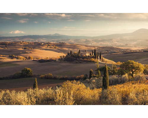 Paysage toscan avec des cyprès et une ferme sur une colline