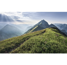 Paysage de montagne avec prairies et sommets