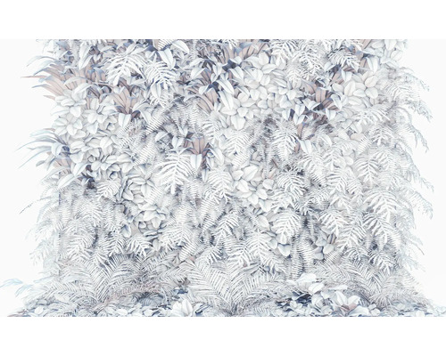 Mur végétal décoratif avec des fougères et autres plantes