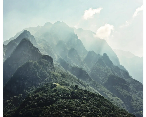 Paysage de montagne avec brouillard et forêt