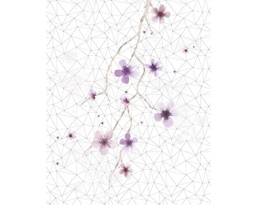 Papier peint avec motif floral et formes géométriques