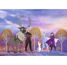 Scène avec les personnages de La Reine des neiges : le renne Sven, Kristoff, le bonhomme de neige Olaf, Elsa et Anna.