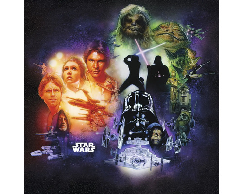Star Wars Collage mit verschiedenen Charakteren und Raumschiffen