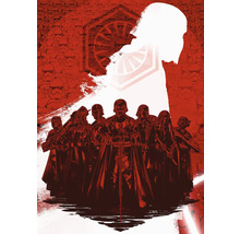 Illustration de guerriers avec des casques et des capes sur fond de stormtroopers