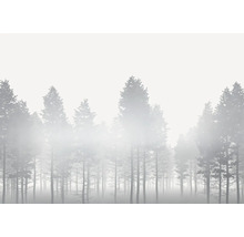 Nebelverhangener Wald