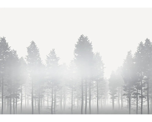 Papier peint panoramique intissé RSX8-055 Silver Haze 8 pces 400 x 280 cm Forêt embrumée
