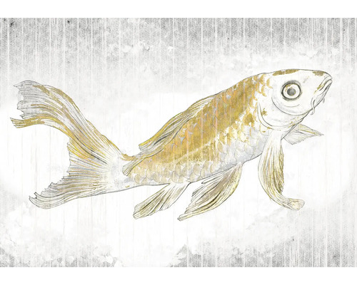 Illustration d'un poisson